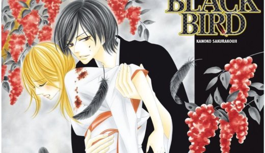 BLACK BIRD(ブラックバード)漫画村以外で無料で読む方法を紹介！ネタバレも