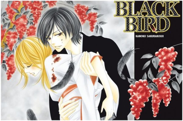 Black Bird ブラックバード 漫画村以外で無料で読む方法を紹介 ネタバレも Yutori Channel