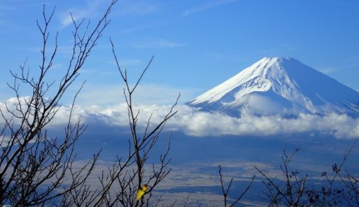 小野田勇次の卒業後の進路(就職先)は？コーラが活動の源だった！？