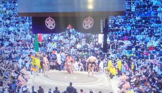 荒れた大相撲春場所2022は若隆景が初優勝！結果や総評、来場所の番付も予想！